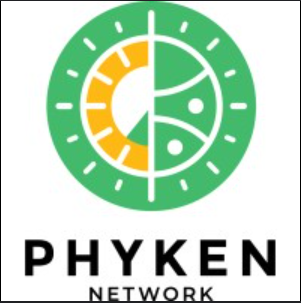 Phyken Network Logo